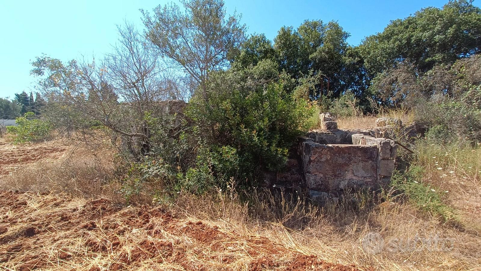 Terreno agricolo - Vista 2