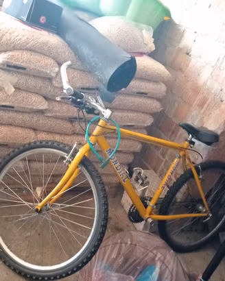 Bici normale ruote da 26