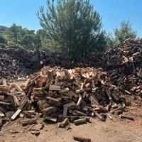 Legna di quercia , ulivo e sughero