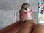 Immagine 1