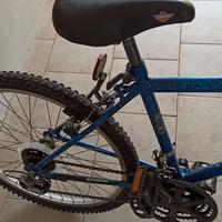 bicicletta