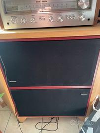 . Casse Pioneer (coppia)