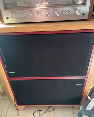 . Casse Pioneer (coppia)