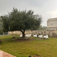 Estate a San Lorenzo fronte mare