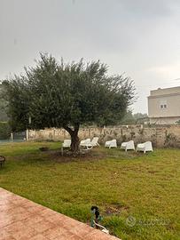 Estate a San Lorenzo fronte mare