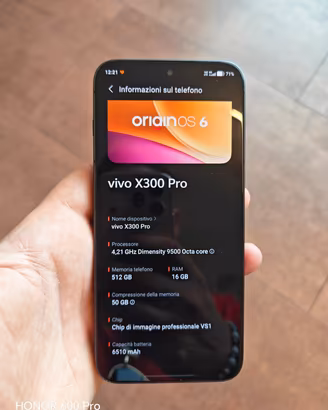 Vivo x300 Pro Global 