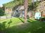 Immagine 11