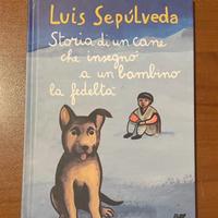 Storia di un cane che insegnò ad un bambino la ...
