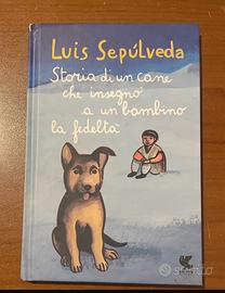 Storia di un cane che insegnò ad un bambino la ...
