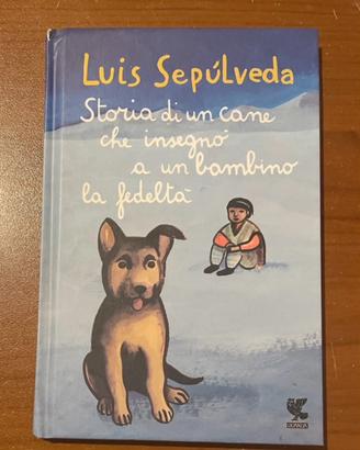 Storia di un cane che insegnò ad un bambino la ...