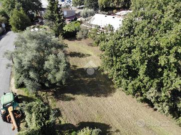 TER. RESIDENZIALE A ANGUILLARA SABAZIA