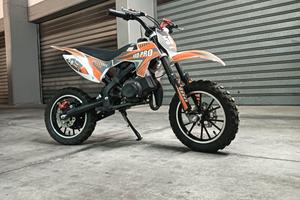 Altro Altro modello - 2024