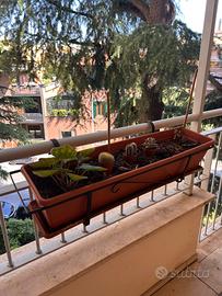 Balconiera e vasi da balcone