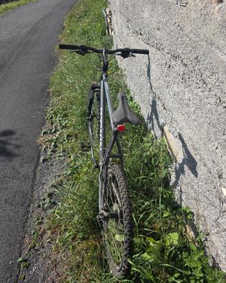 Bicicletta 