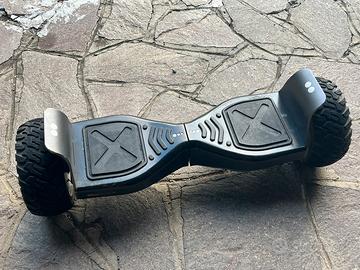 Wildboard XL overboard Two dots + Hoverkart