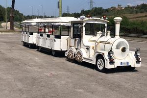 Trenino turistico Dotto Train