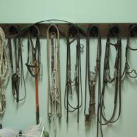 Finimenti per cavallo