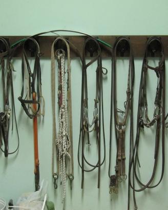 Finimenti per cavallo