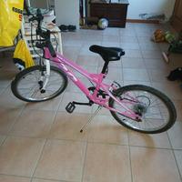 bicicletra bicicletta da bambinadi colore rosa, 