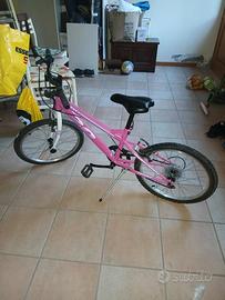 bicicletra bicicletta da bambinadi colore rosa, 