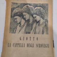 libri antichi Giotto e Raffaello 