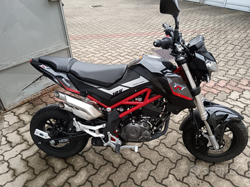 Benelli nacked tornado