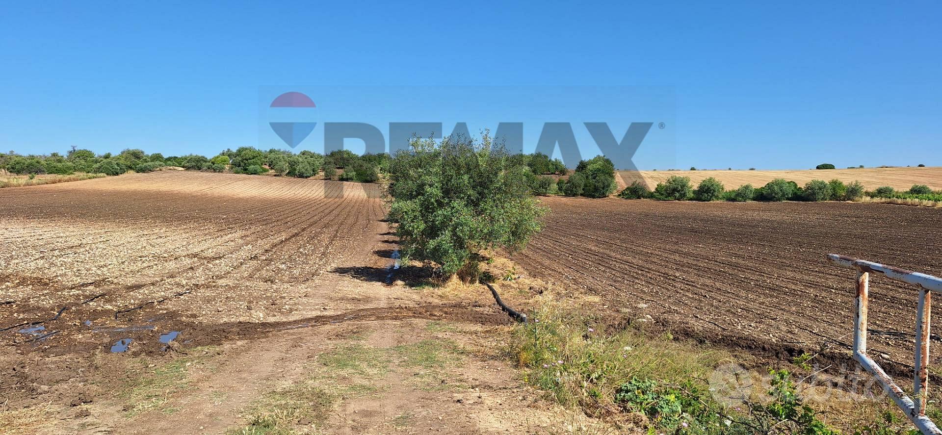 Terreno - Noto - Vista 2