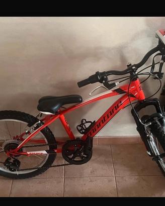 Bici montanara 20 pollici