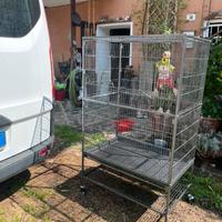 Gabbia per uccelli
