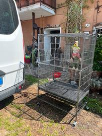 Gabbia per uccelli