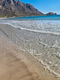 Terreno per residenziale o agriturismo Sardegna