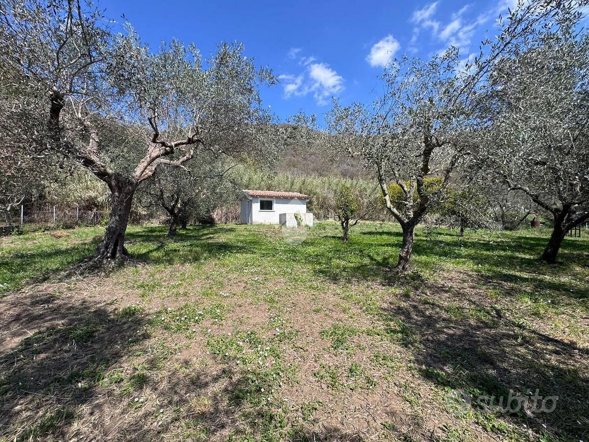 TER. AGRICOLO A TREVIGNANO ROMANO - Vista 2