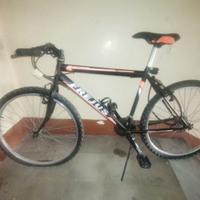 Bicicletta Mountain Bike