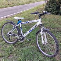bici evo sports e hobby