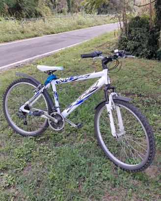 bici evo sports e hobby