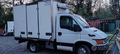 Iveco daily Cella frigo