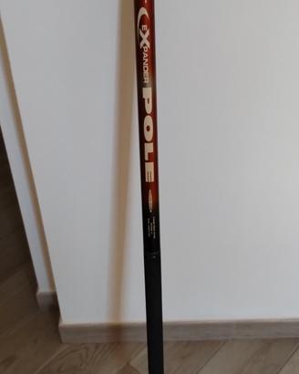canna da pesca 