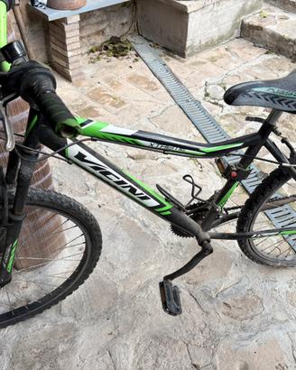 Bicicletta vicini