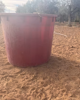 Tino in plastica per vendemmia