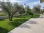 Immagine 24
