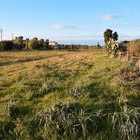 Terreno agricolo con laghetto