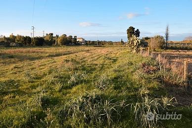 Terreno agricolo con laghetto
