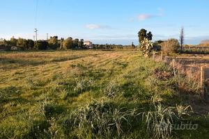 Terreno agricolo con laghetto