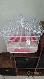 Gabbietta per uccellini