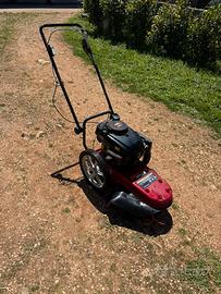 Tagliaerba decespugliatore