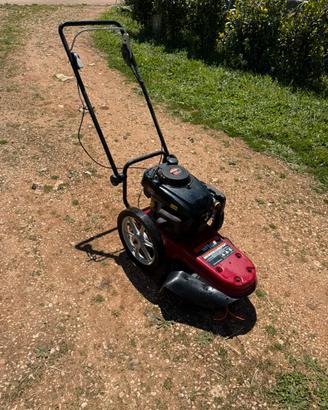 Tagliaerba decespugliatore