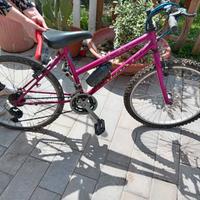 Mountain Bike ragazza 12/15