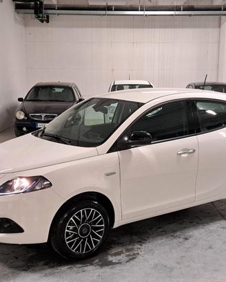Lancia Ypsilon 1.0 FireFly Hybrid Platino Km. 0 (4