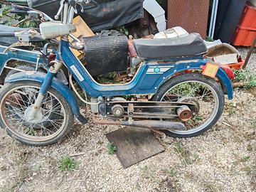 piaggio boxer Benelli 