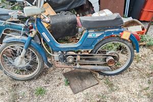 piaggio boxer Benelli 